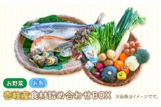 壱岐産 食材詰め合わせ 野菜魚   《壱岐市》【壱岐イルカパーク＆リゾート】[JBF012] 42000 42000円 