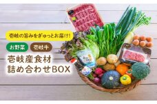 壱岐産 食材詰め合わせ 野菜と壱岐牛   《壱岐市》【壱岐イルカパーク＆リゾート】[JBF013] 42000 42000円 