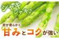 おすすめ オススメ こだわり ギフト 人気 特産品 贈り物 アスパラ 大きい L