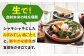 おすすめ オススメ こだわり ギフト 人気 特産品 贈り物 アスパラ 大きい L