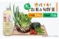 お米 白米 米 白米 野菜 セット 新鮮 季節野菜 ごはん 食べ比べ 朝食 昼食