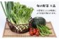 ステーキ 人気 和牛  壱岐牛 希少 柔らかい やわらかい 贈り物 ギフト  肉