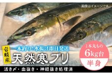 壱岐島産天然寒ブリ（一本丸ものサイズ6キロ台の半身ブロック） 《壱岐市》【壱岐島　玄海屋】[JBS008] ぶり 寒ぶり ブリ 魚 刺身 しゃぶしゃぶ 45000 45000円
