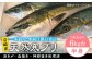 人気  おすすめ オススメ 天然ぶり 天然ブリ 天然鰤 しゃぶしゃぶ ぶりしゃぶ