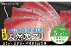 壱岐島産天然寒ブリ（5キロ台・3枚おろし） 《壱岐市》【壱岐島　玄海屋】[JBS011] ぶり 寒ぶり ブリ 魚 刺身 しゃぶしゃぶ 56000 56000円