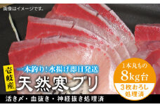 壱岐島産天然寒ブリ（8キロ台・3枚おろし） 《壱岐市》【壱岐島　玄海屋】[JBS013] ぶり 寒ぶり ブリ 魚 刺身 しゃぶしゃぶ 96000 96000円 