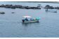 人気   うに ウニ 雲丹  新鮮 海鮮 特産品 贈り物 ギフト   魚介 ごは