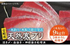 壱岐島産天然寒ブリ（9キロ台・3枚おろし） 《壱岐市》【壱岐島　玄海屋】[JBS030] ぶり 寒ぶり ブリ 魚 刺身 しゃぶしゃぶ 113000 113000円 