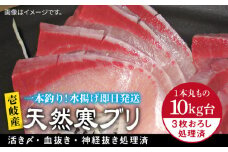 壱岐島産天然寒ブリ（10キロ台・3枚おろし） 《壱岐市》【壱岐島　玄海屋】[JBS031] ぶり 寒ぶり ブリ 魚 刺身 しゃぶしゃぶ 129000 129000円 