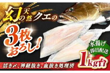 天然クエ（1キロ台・3枚おろし） 《壱岐市》【壱岐島　玄海屋】[JBS039] クエ 魚 刺身 しゃぶしゃぶ  90000 90000円 9万円