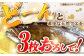 人気  おすすめ オススメ クエ しゃぶしゃぶ クエしゃぶ 刺身 海鮮 魚介