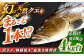 人気  おすすめ オススメ クエ しゃぶしゃぶ クエしゃぶ 刺身 海鮮 魚介