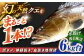 人気  おすすめ オススメ クエ しゃぶしゃぶ クエしゃぶ 刺身 海鮮 魚介
