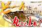 人気  おすすめ オススメ クエ しゃぶしゃぶ クエしゃぶ 刺身 海鮮 魚介