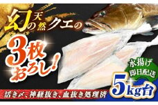 天然クエ（5キロ台・3枚おろし） 《壱岐市》【壱岐島　玄海屋】[JBS058] クエ 魚 刺身 しゃぶしゃぶ  370000 370000円 37万円
