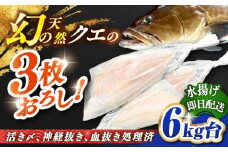 天然クエ（6キロ台・3枚おろし） 《壱岐市》【壱岐島　玄海屋】[JBS059] クエ 魚 刺身 しゃぶしゃぶ  450000 450000円 45万円