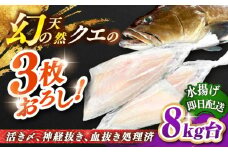 天然クエ（8キロ台・3枚おろし） 《壱岐市》【壱岐島　玄海屋】[JBS061] クエ 魚 刺身 しゃぶしゃぶ  590000 590000円 59万円