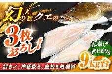天然クエ（9キロ台・3枚おろし） 《壱岐市》【壱岐島　玄海屋】[JBS062] クエ 魚 刺身 しゃぶしゃぶ  680000 680000円 68万円