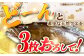人気  おすすめ オススメ クエ しゃぶしゃぶ クエしゃぶ 刺身 海鮮 魚介