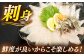 人気  おすすめ オススメ クエ しゃぶしゃぶ クエしゃぶ 刺身 海鮮 魚介