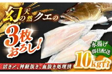 天然クエ（10キロ台・3枚おろし） 《壱岐市》【壱岐島　玄海屋】[JBS063] クエ 魚 刺身 しゃぶしゃぶ  750000 750000円 75万円