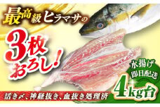 壱岐島産天然ヒラマサ（4キロ台・三枚おろし） 《壱岐市》【壱岐島　玄海屋】[JBS077] ヒラマサ 魚 刺身 煮物 カルパッチョ お寿司  70000 70000円 