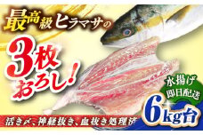 壱岐島産天然ヒラマサ（6キロ台・三枚おろし） 《壱岐市》【壱岐島　玄海屋】[JBS079] ヒラマサ 魚 刺身 煮物 カルパッチョ お寿司  111000 111000円