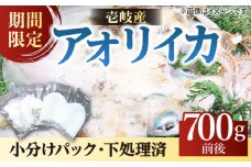 アオリイカ（処理済み） 700g前後 《壱岐市》【ヤマグチ】[JCG018] いか イカ アオリイカ 水イカ 刺身 お刺身 刺し身 ゲソ 魚介 海産物 海鮮 天然 冷凍 いかめし 16000 16000円