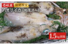 アオリイカ（水イカ）1,500g前後 《壱岐市》【ヤマグチ】[JCG019] いか あおりいか 28000 28000円