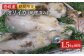 人気 うに ウニ 雲丹  新鮮 海鮮 特産品 贈り物 ギフト   魚介