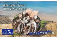 磯物豪華3点セット（黒アワビ/サザエ/アコヤ貝貝柱）《壱岐市》【丸和水産】[JCJ008] アワビ あわび 鮑 黒アワビ 黒あわび 黒鮑 さざえ サザエ 貝 貝柱 アコヤ貝 刺身 刺し身 お刺身 冷蔵 生 鮮魚 直送 72000 72000円