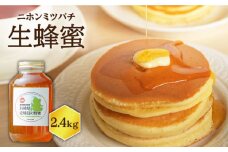ニホンミツバチ 生蜂蜜 2,400g×1 《壱岐市》【憲ちゃんハチミツ】[JCL004] ハチミツ 蜂蜜 日本蜜蜂 114000 114000円 