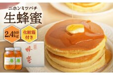 ニホンミツバチ 生蜂蜜 1,200×2（化粧箱付き） 《壱岐市》【憲ちゃんハチミツ】[JCL008] ハチミツ 蜂蜜 日本蜜蜂 ギフト プレゼント 贈り物 化粧箱 117000 117000円 