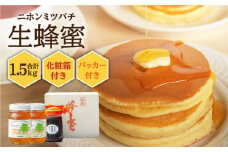 ニホンミツバチ 生蜂蜜 600g×2（パッカー300g・化粧箱付き） 《壱岐市》【憲ちゃんハチミツ】[JCL011] ハチミツ 蜂蜜 日本蜜蜂 ギフト プレゼント 贈り物 化粧箱 74000 74000円 