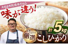 【R6年度産】天日自然乾燥米 こしひかり 5kg 《壱岐市》【長米壱岐営業所】[JCZ001] 米 白米 精米 ごはん ご飯 コシヒカリ 5キロ 10000 10000円