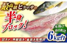 壱岐島産天然ヒラマサ（6キロ台・半身ブロック） 《壱岐市》【壱岐島　玄海屋】[JBS087] ヒラマサ 魚 刺身 煮物 カルパッチョ お寿司  69000 69000円