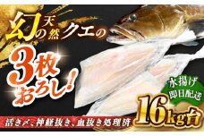 天然クエ（16キロ台・3枚おろし） 《壱岐市》【壱岐島　玄海屋】[JBS090] 1350000 1350000円 135万円