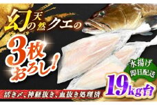 天然クエ（19キロ台・3枚おろし） 《壱岐市》【壱岐島　玄海屋】[JBS093] 1600000 1600000円 160万円