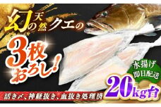 天然クエ（20キロ台・3枚おろし） 《壱岐市》【壱岐島　玄海屋】[JBS094] 2010000 2010000円 201万円
