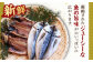 人気 新鮮 海鮮 特産品 贈り物 ギフト   魚介 ごはんのお供 朝食 昼食 夕