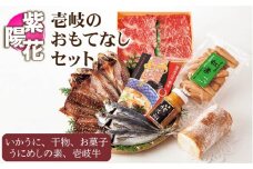 干物 壱岐のおもてなしセット【紫陽花】 《壱岐市》【汐彩屋】[JCT004] 干物 ひもの ひらき みりん干し 丸干し 32000 32000円 