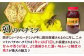 おすすめ オススメ 人気  贈り物  蜂蜜 はちみつ ハチミツ ハニー