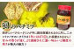 おすすめ オススメ 人気  贈り物  蜂蜜 はちみつ ハチミツ ハニー