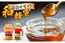 和蜂蜜（ニホンミツバチ） 300g＋300gパッカー 《壱岐市》【和蜂ファーム壱岐】[JDP005] ハチミツ 蜂蜜 はちみつ 日本ミツバチ 32000 32000円 