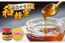 和蜂蜜（ニホンミツバチ）300g 《壱岐市》【和蜂ファーム壱岐】[JDP004] ハチミツ 蜂蜜 はちみつ 日本ミツバチ 19000 19000円