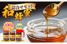 【先行予約】和蜂蜜（ニホンミツバチ）300g×2本＋300gパッカー【2025年11月以降順次発送】 《壱岐市》【和蜂ファーム壱岐】[JDP002] ハチミツ 蜂蜜 はちみつ 日本ミツバチ 50000 50000円 5万