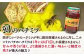おすすめ オススメ 人気  贈り物  蜂蜜 はちみつ ハチミツ ハニー