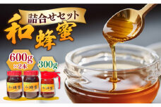 和蜂蜜（ニホンミツバチ）600g×2本＋300gパッカー 《壱岐市》【和蜂ファーム壱岐】[JDP001]  ハチミツ 蜂蜜 はちみつ 日本ミツバチ 84000 84000円 