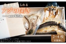 長崎県産旬の干物(2~4枚)《壱岐市》自家用【メイリ・キッチン】[JBD015] 11000 11000円