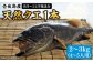 人気 うに ウニ 雲丹  新鮮 海鮮 特産品 贈り物 ギフト   魚介 ごはんの